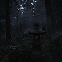 the fog