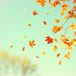 The Breath of Autumn Hues and Bossa Nova