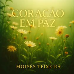 CORAÇÃO EM PAZ