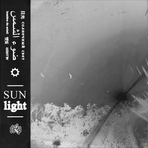 sun light