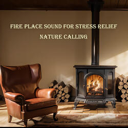 Fire Place Sound For Stress Relief