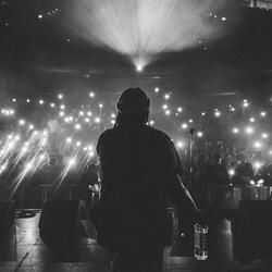 Rockstar Fangz
