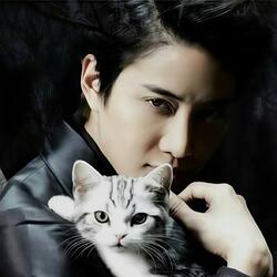 樱花树下的约定