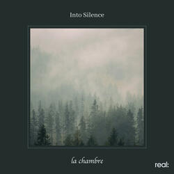 Into Silence