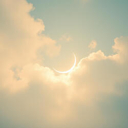 Moonlight Dreams