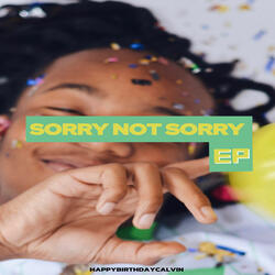 Sorry Not Sorry (Slowed Down)