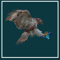 Today is my lucky day