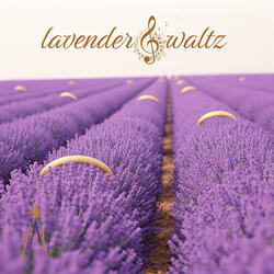 Lavender Waltz