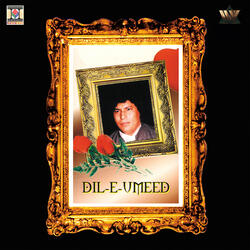 Dil -E- Umeed Toda Hai Kisi Ne