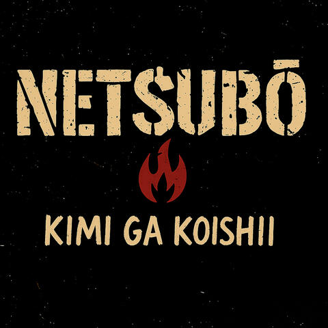 Kimi ga Koishii