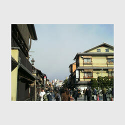 Petals in the Pocket