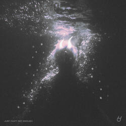 Just Can't Get Enough