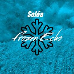 Frozen Echo