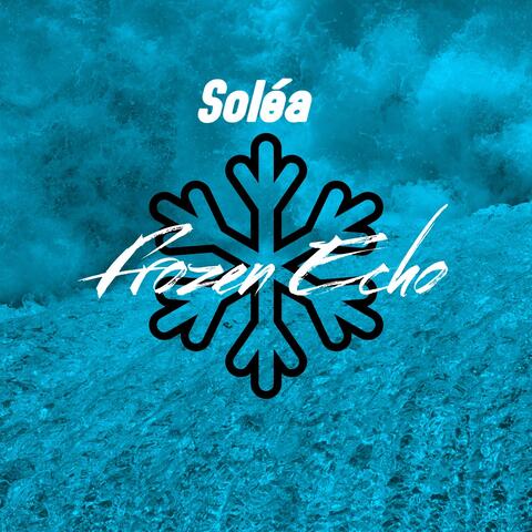 Frozen Echo
