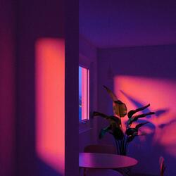 Fade Into the Night