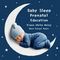 Chopin: Berceuse in D Flat Major, Op. 57 (Rain)