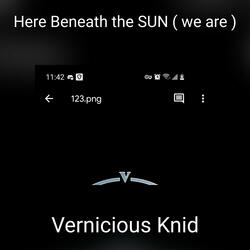 Here Beneath the SUN ( we are )