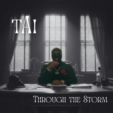 Through the Storm