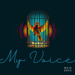 My Voice