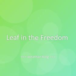 Leaf in the Freedom