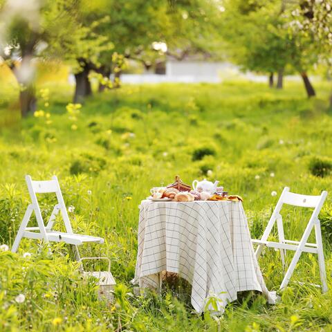 Pure Forest Cafe ~ Sending Thoughts to Todays Joy ~