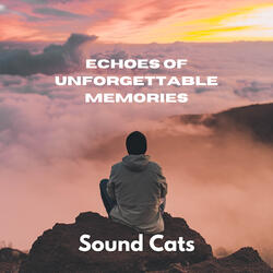 Echoes of Unforgettable Memories