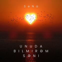 Unuda bilmirəm səni