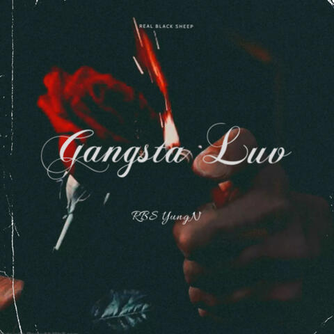 Gangsta Luv