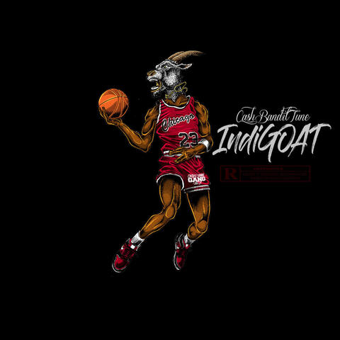 IndiGOAT PT. 2