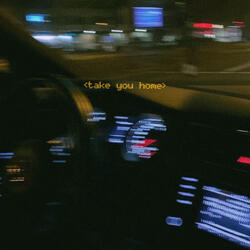 Take You Home