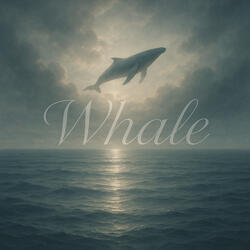 Horizons