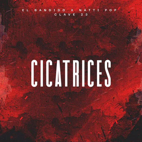 Cicatrices