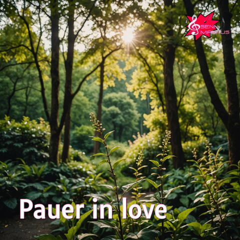 Pauer im love