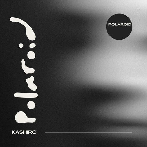 Polaroid