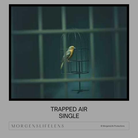 Trapped Air