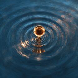 Telephoto Kitchenware