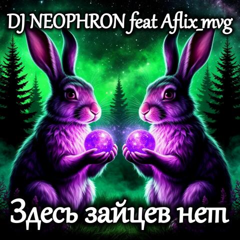 Здесь зайцев нет