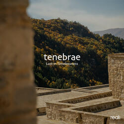 Lost in Timelessness