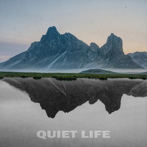 Quiet Life
