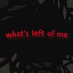 what's left of me
