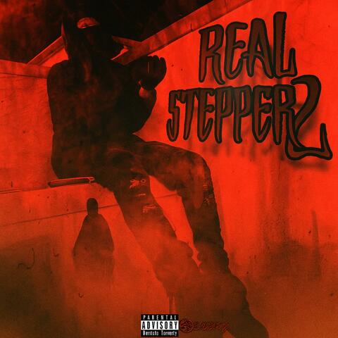 Real Stepper 2