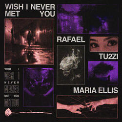 Wish I Never Met You