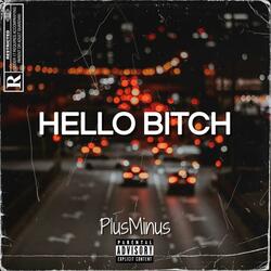 Hello Bitch