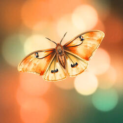 Celebrating the person I have become