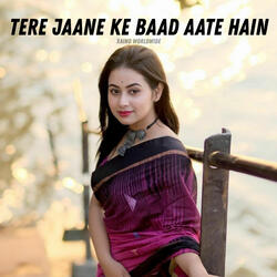 Tere Jaane Ke Baad Aate Hain