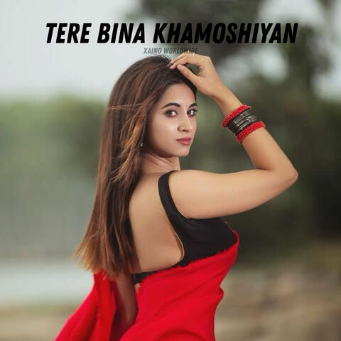 Tere Bina Khamoshiyan