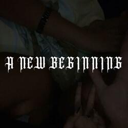 a new beginning