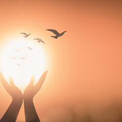 Salmo 129 - No Senhor Toda Graça e Redenção