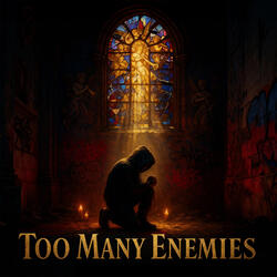 Too Many Enemies