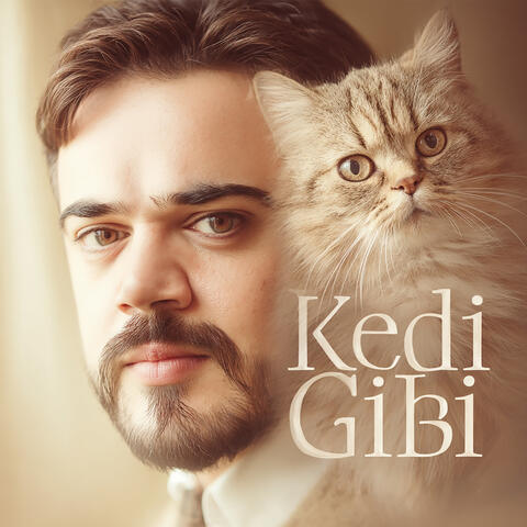 Kedi Gibi